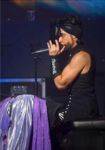 prince tribute