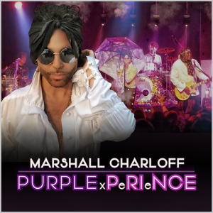 prince tribute