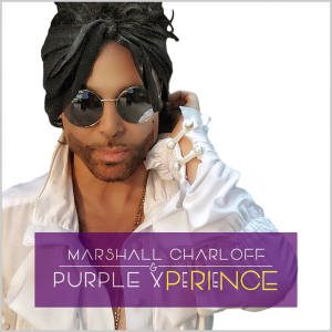prince tribute show band