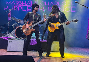 prince tribute