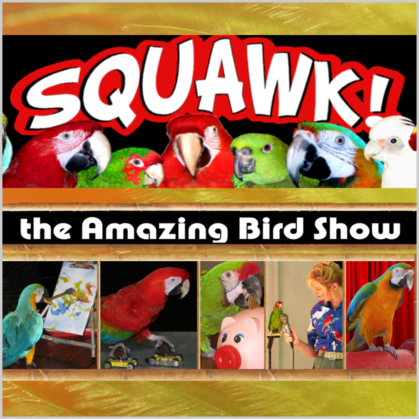 Squawk: The Amazing Bird Show