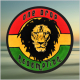 Bob Marley Tribute