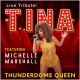 Tina Turner Tribute Show