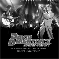 David Bowie Tribute Show